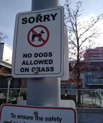 ArtWalk in the Square-多伦多必去景点