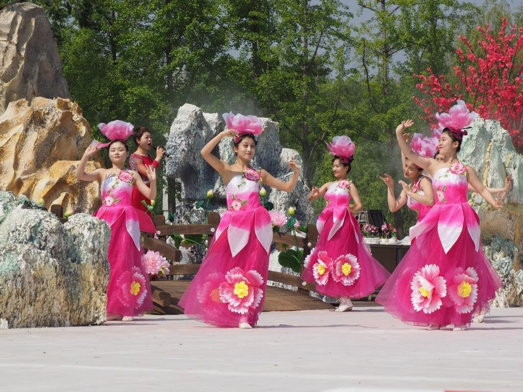 曹州牡丹园菏泽国际牡丹文化旅游节景点图片