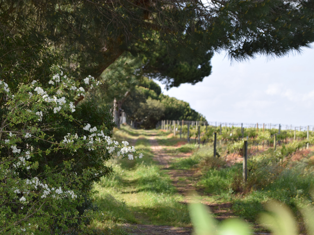 Quinta De Catralvos主图