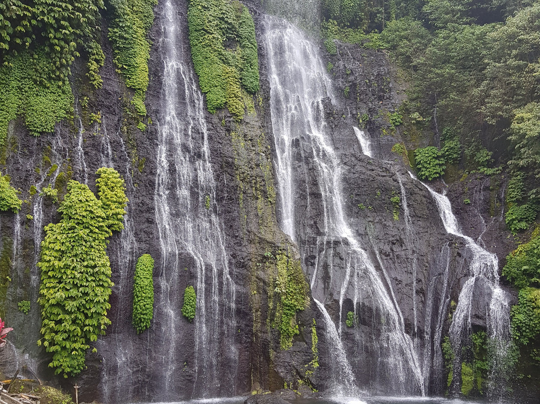 Alam Bali Tour景点图片