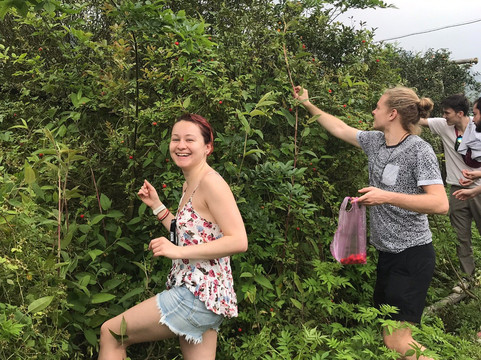 瀑布塘-阳朔县必去景点