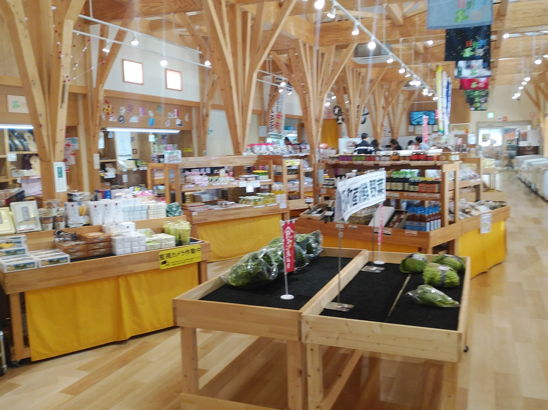 Michi no Eki Nichinan Hinogawa no Sato-日南町必去景点