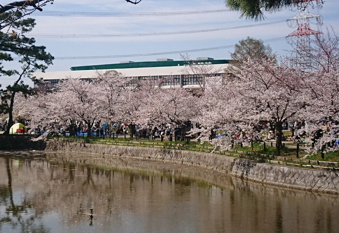 Kijo Park-刈谷市必去景点