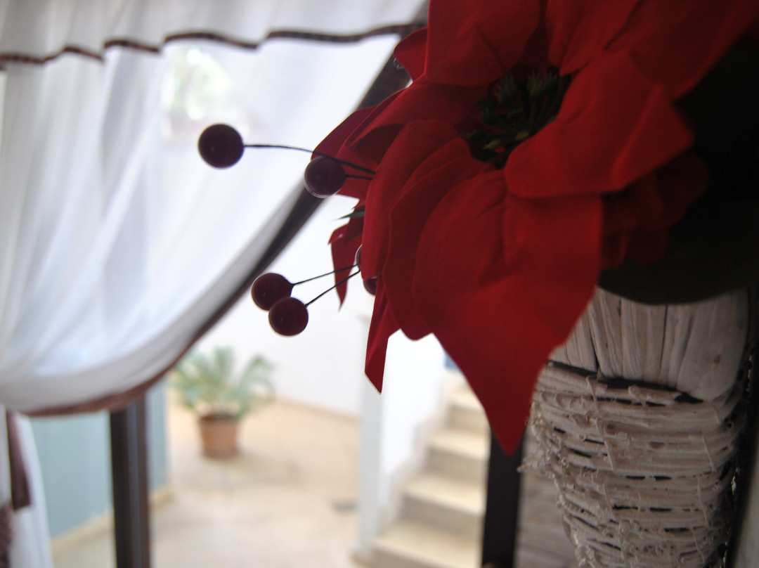 B&B Pietrachiara主图