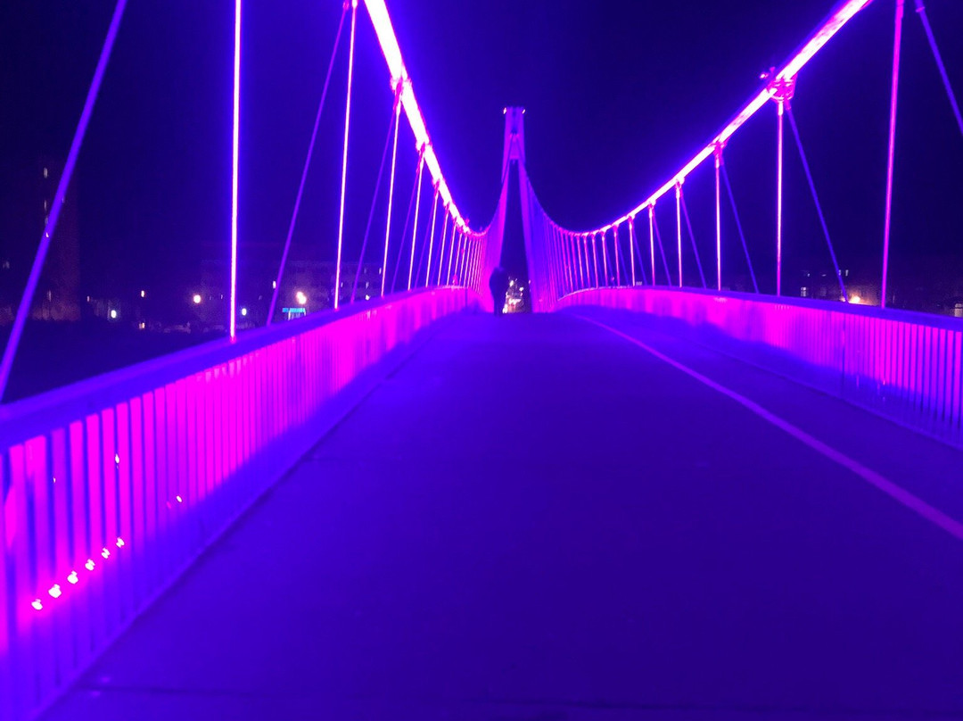 Pedestrian Bridge-奥西耶克必去景点