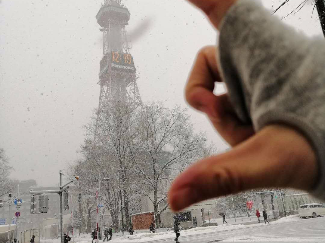 札幌电视塔景点图片