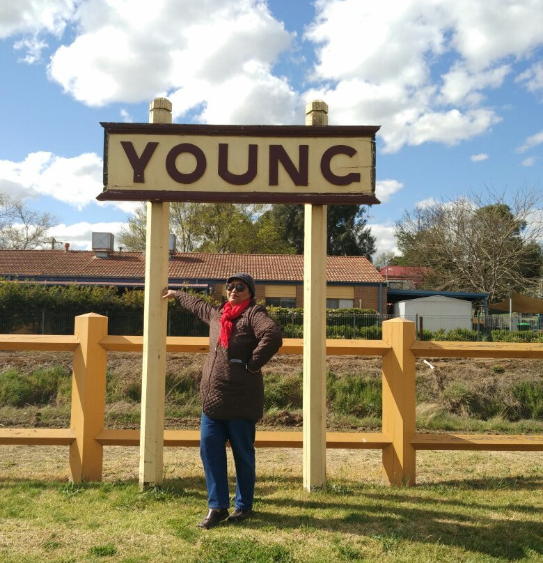 The Big Cherries-Young必去景点