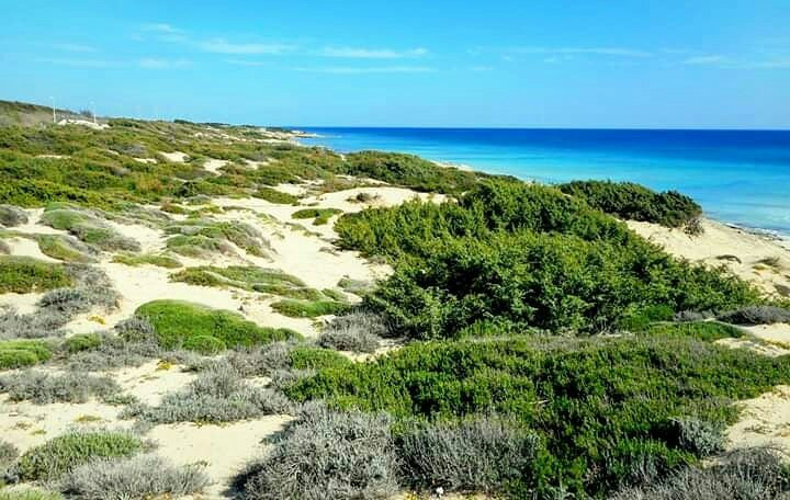 Spiaggia Giannarelli-Maruggio必去景点