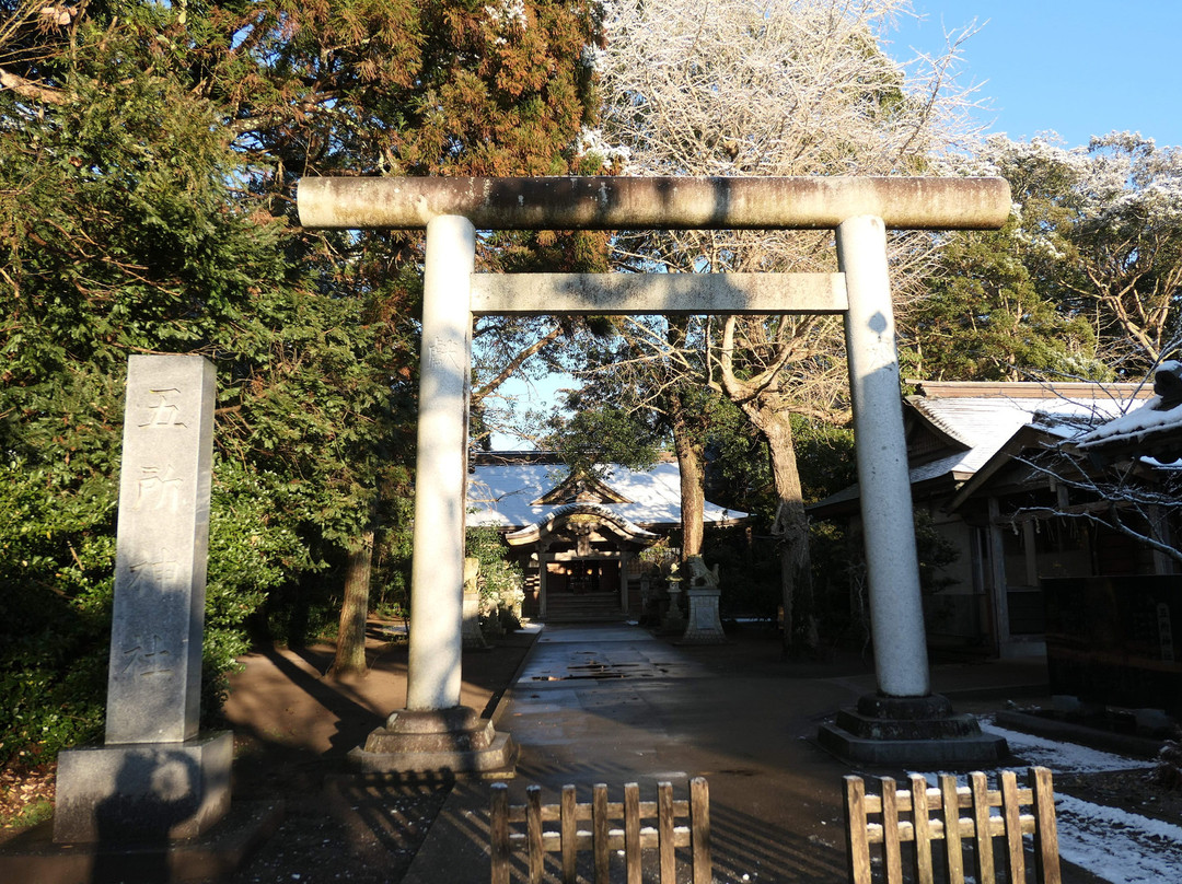 Gosho Shrine-山武市必去景点