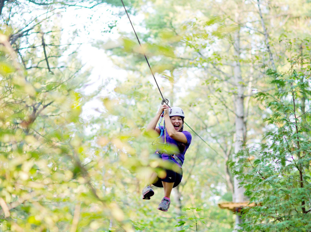 Treetop Trekking - Ganaraska-Campbellcroft必去景点