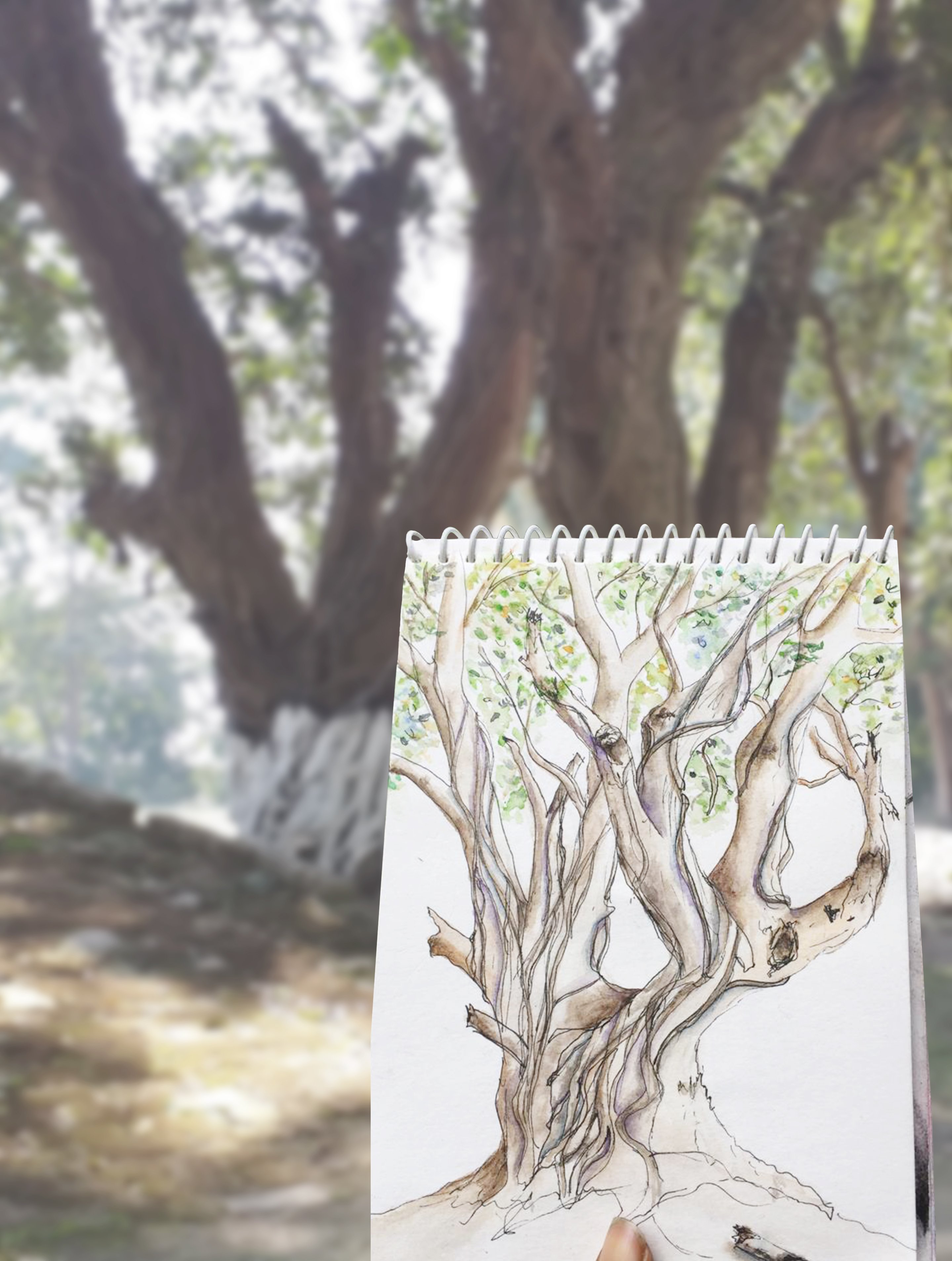 Forest Rest House Dudhwa-浴室