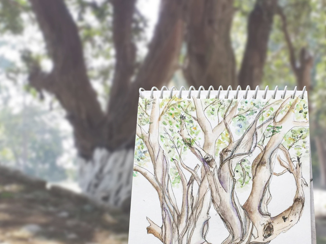 Forest Rest House Dudhwa主图