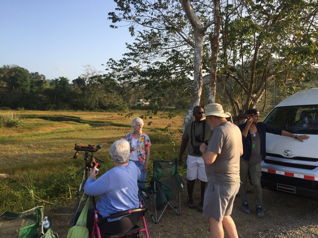 Beny Wilson Wildlife Observation Service景点图片