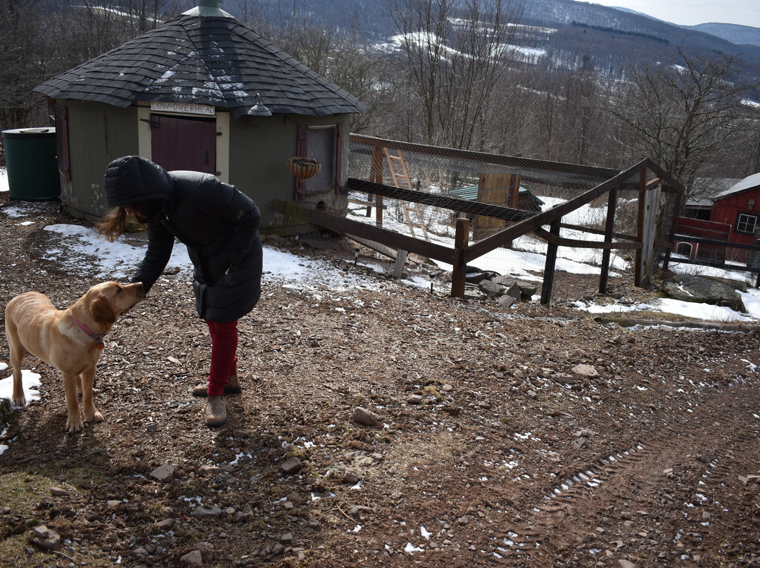 Highlanders View Bed & Breakfast主图