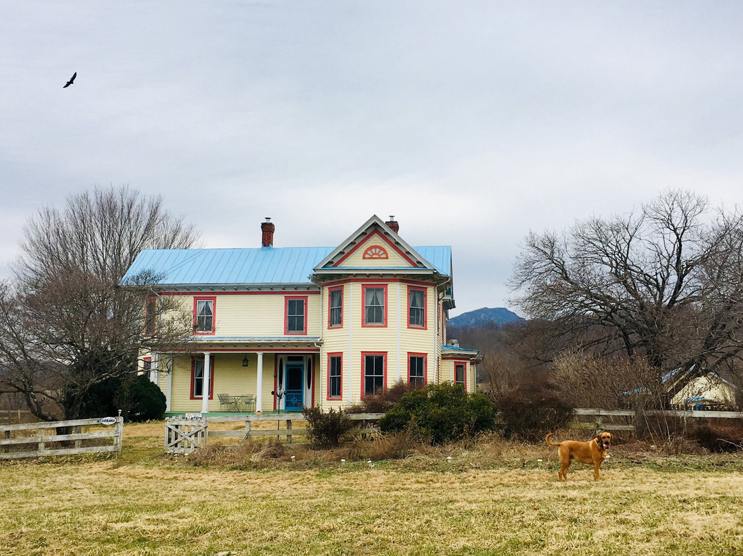 Belle Meade Bed and Breakfast主图