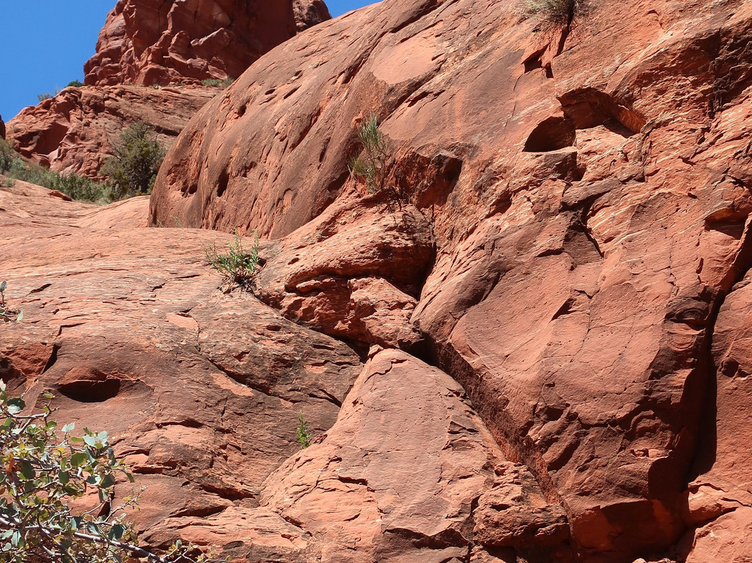 Wet Beaver Creek-Lake Montezuma必去景点