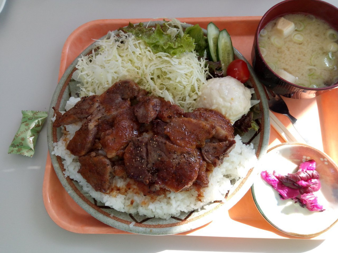 Yunomaru Ski Area-东御市必去景点