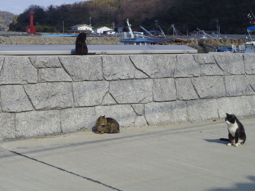 Manabe Island-笠冈市必去景点