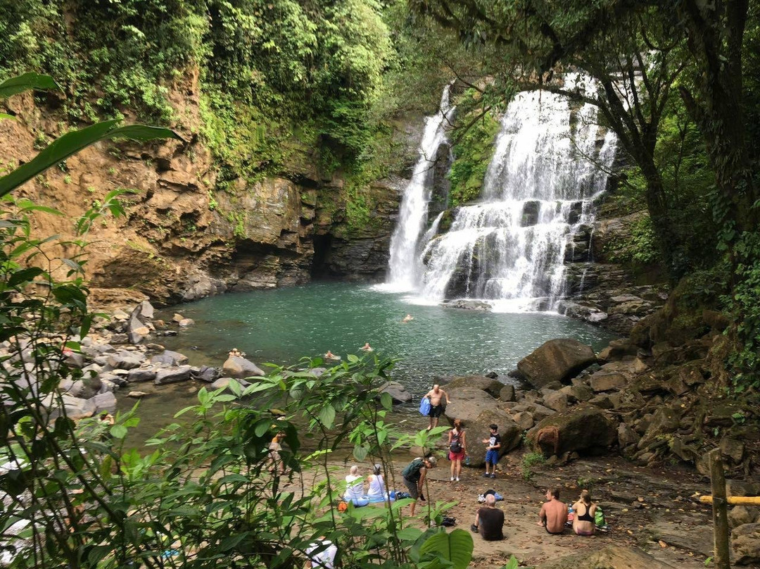 Manuel Antonio Trekking and Waterfalls Tours景点图片