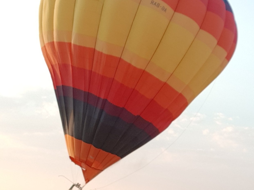 Hero Balloon Flights Dubai景点图片