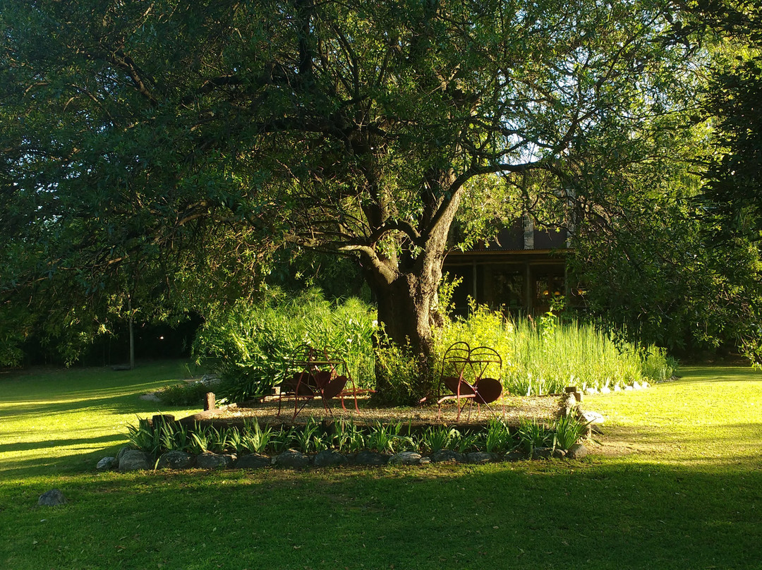 Puesto Victoria主图