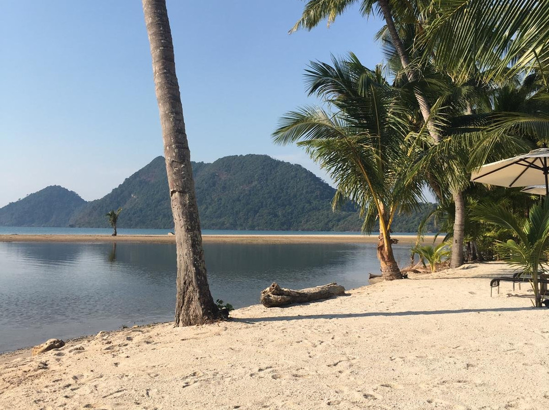 Laguna Beach House主图