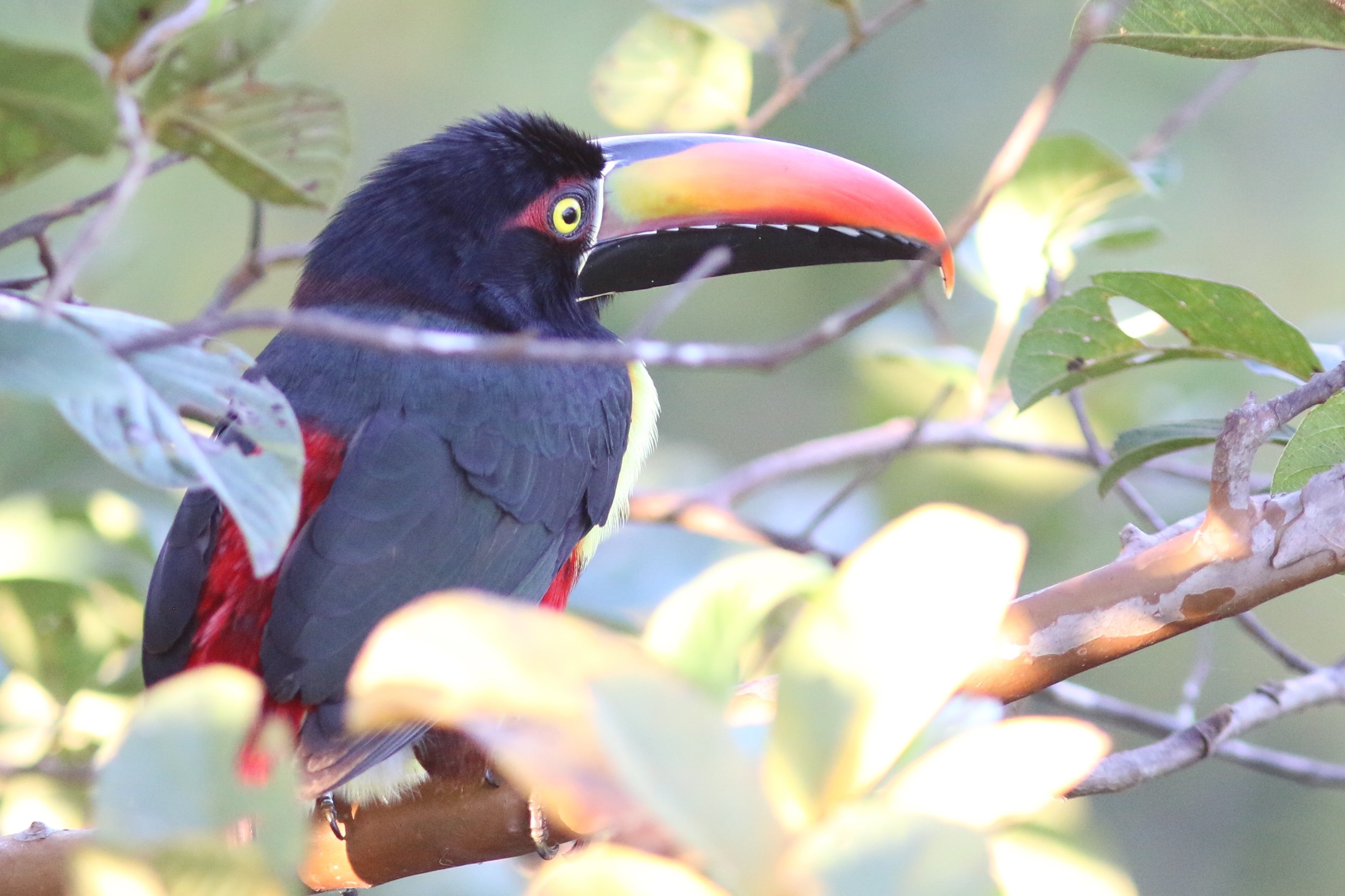 Rancho Capulin Bed&Breakfast-酒店景观