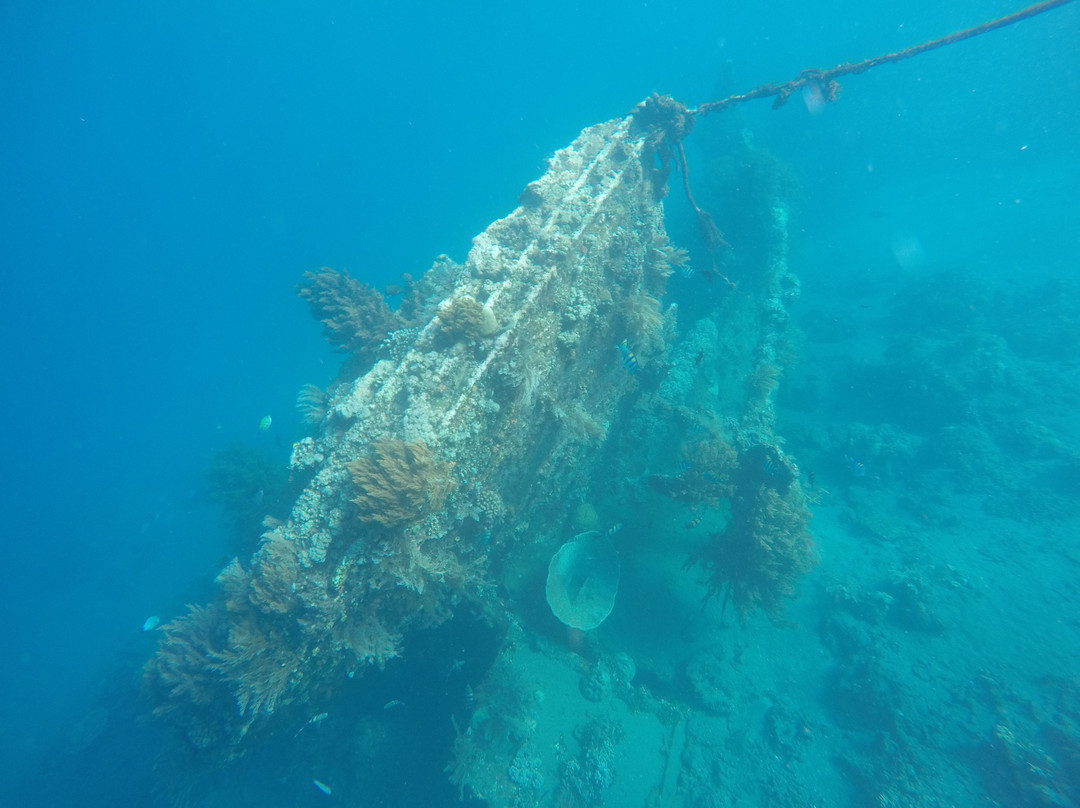 Japanese Ship Wreck Point景点图片