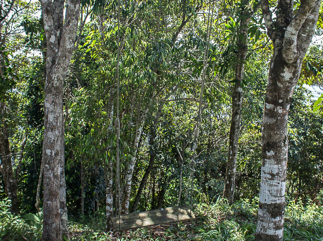 Parque Municipal do Goiapaba-Açu景点图片