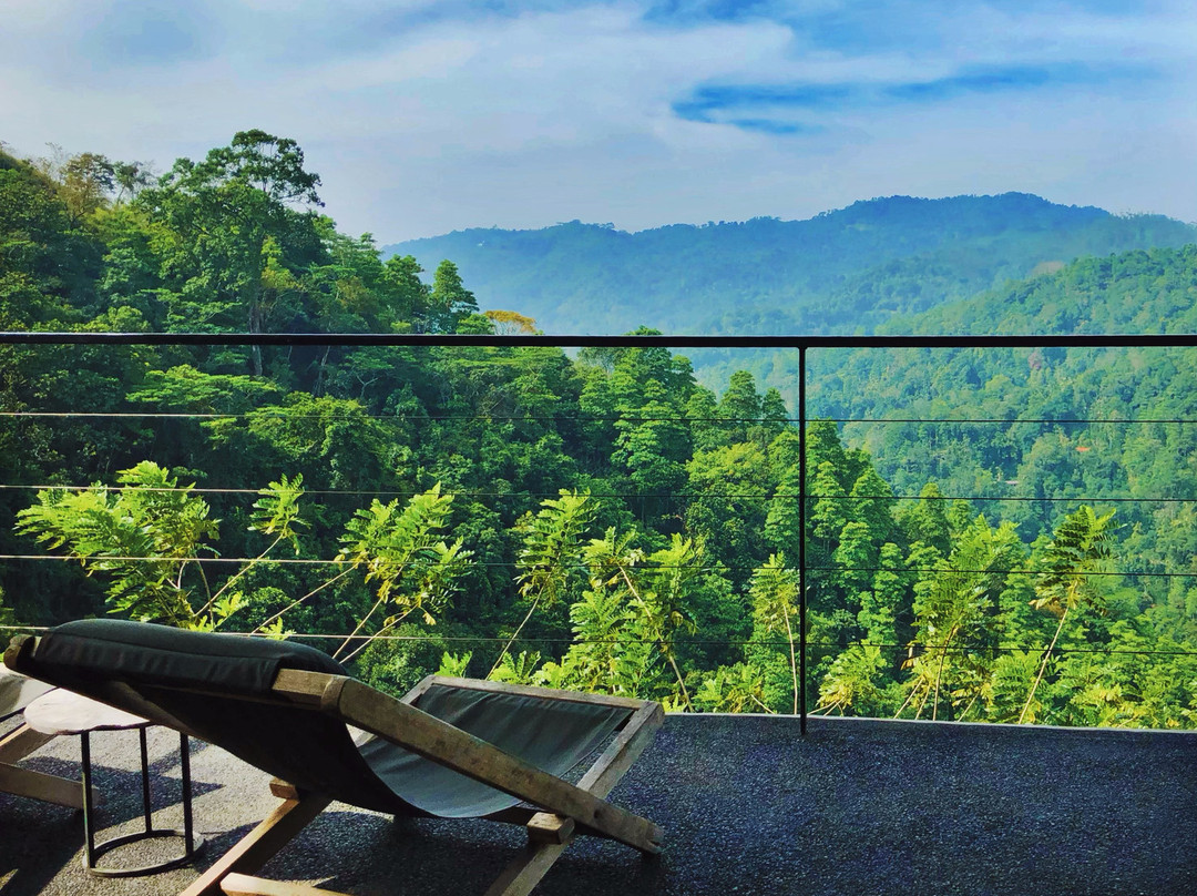 Santani Wellness Kandy主图