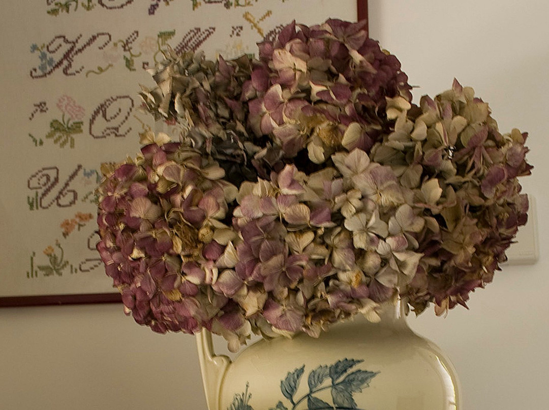 Gite La Petite Peyrouse主图