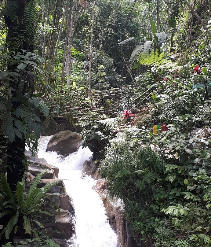 Kedung Pedut Waterfall景点图片
