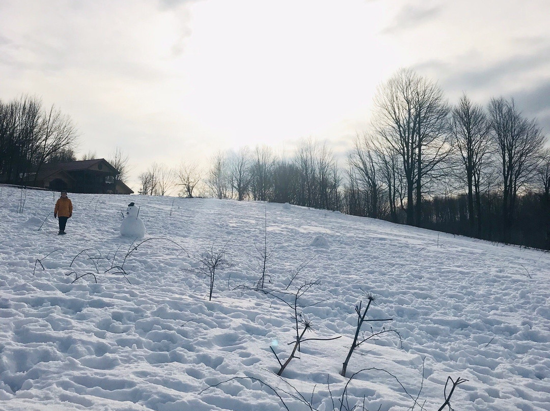 AytepePark Tesisleri