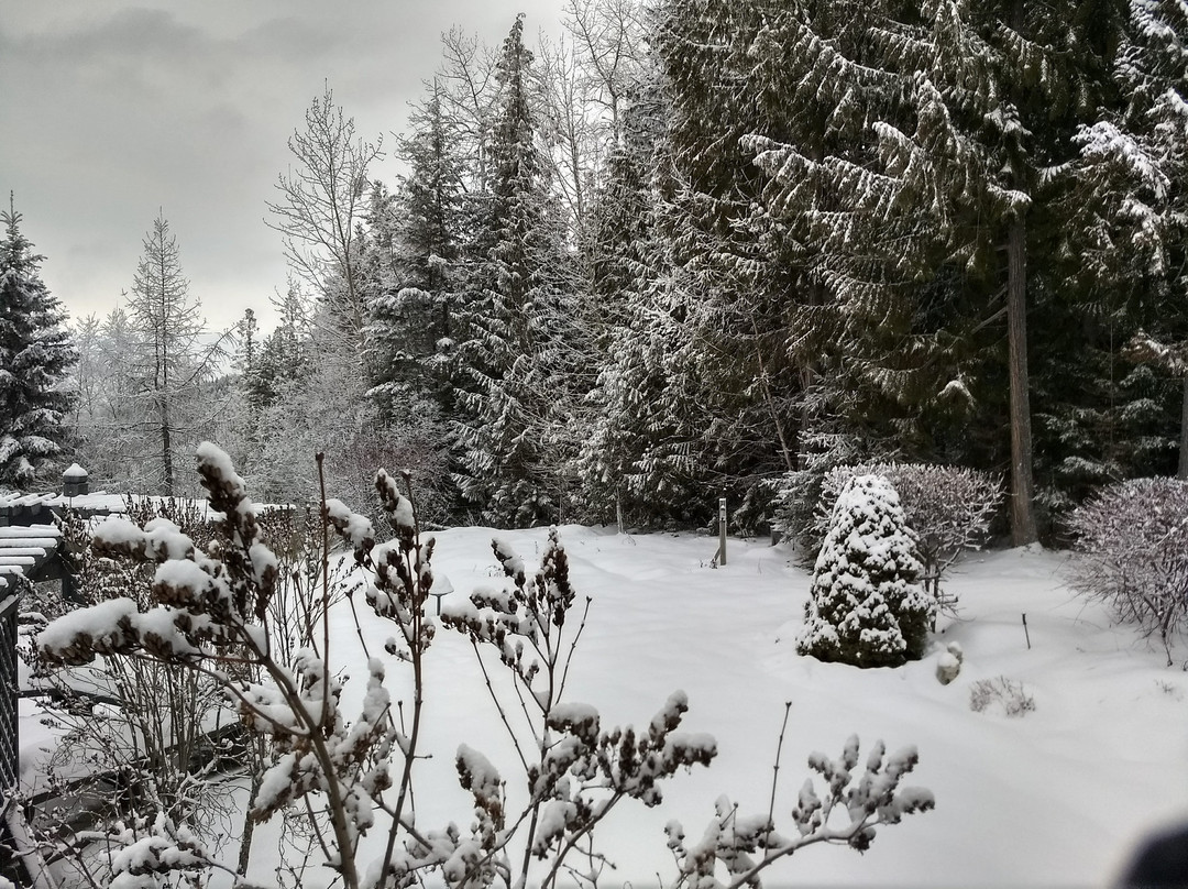 Silver Star Bed & Breakfast主图