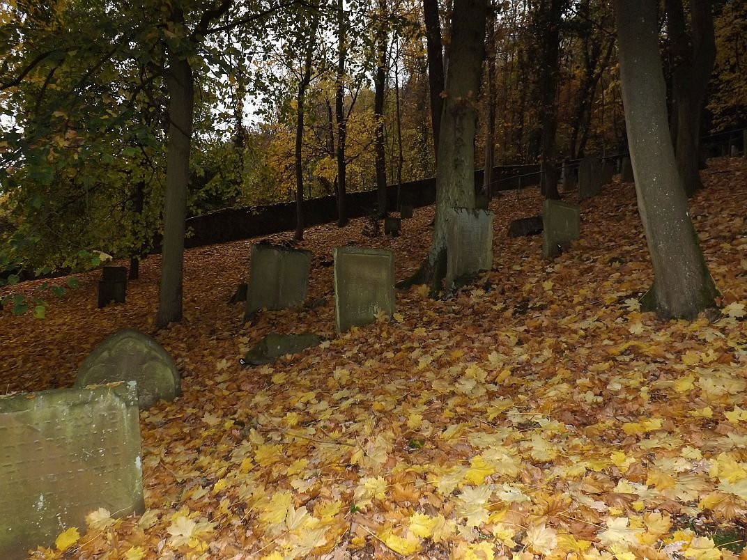 Jewish Cemetery-沃特海姆必去景点