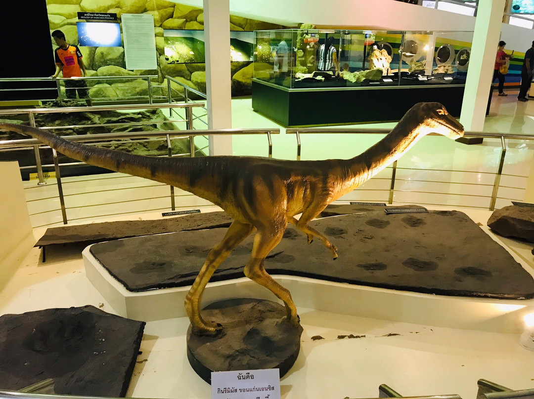 Phu Wiang Dinosaur Museum景点图片