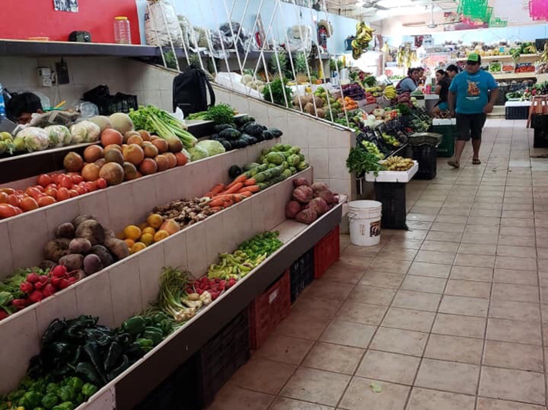 Cozumel Chef - Food Tours景点图片