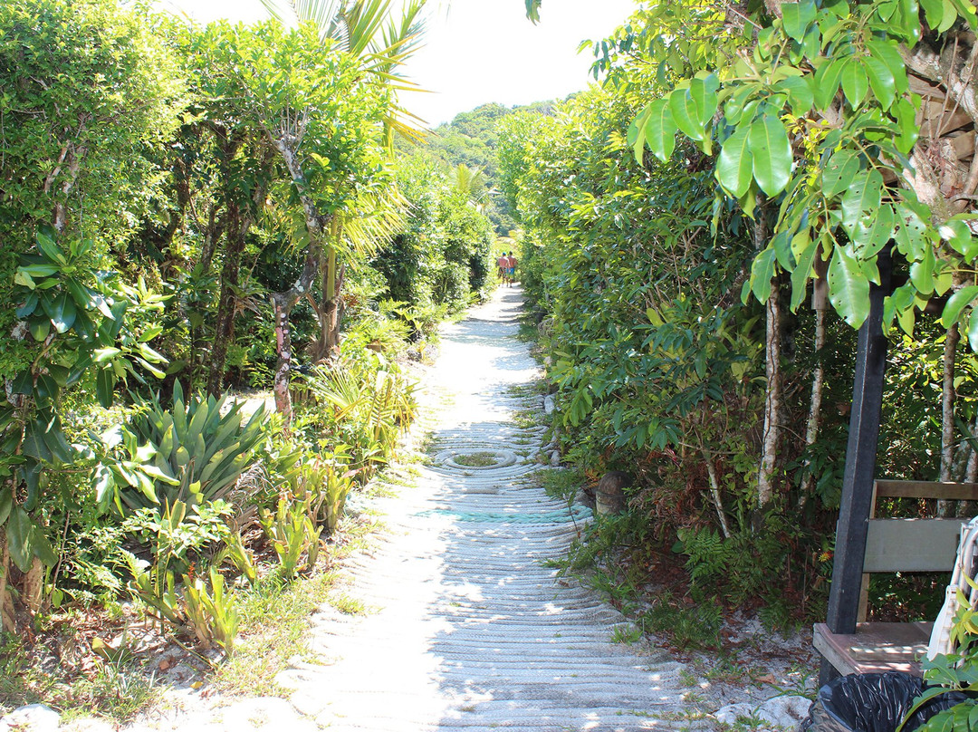 Grajagan Surf Resort主图