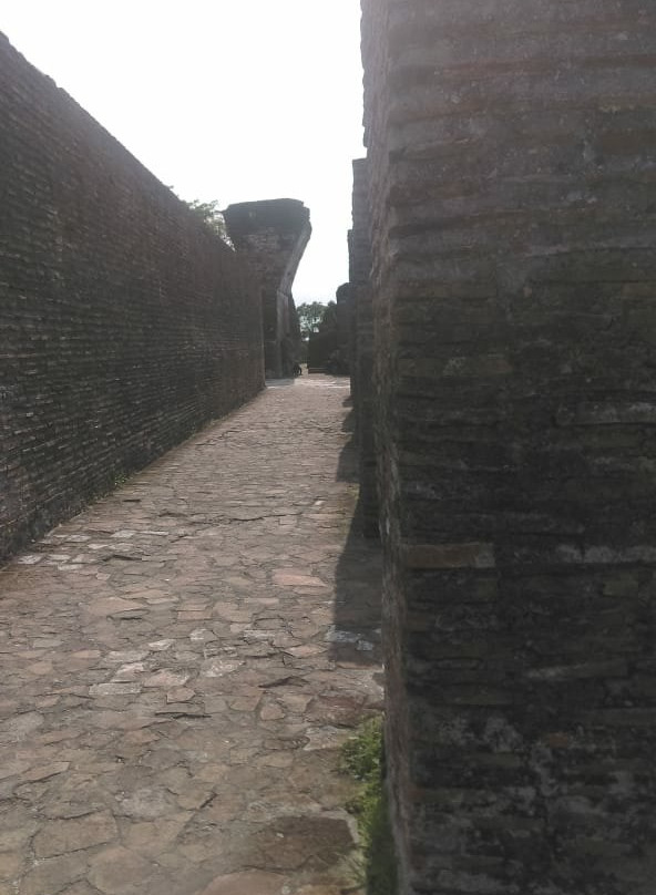 Zona Arqueológica de Comalcalco景点图片