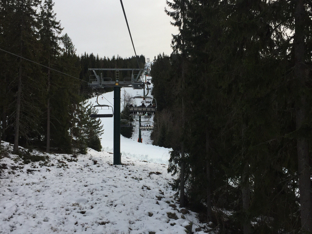 Romme Nara Romme Alpin
