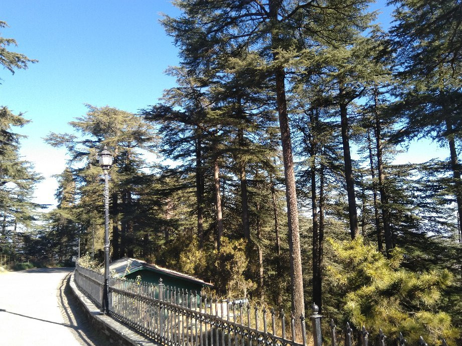 Maharaja's Palace-Chail必去景点