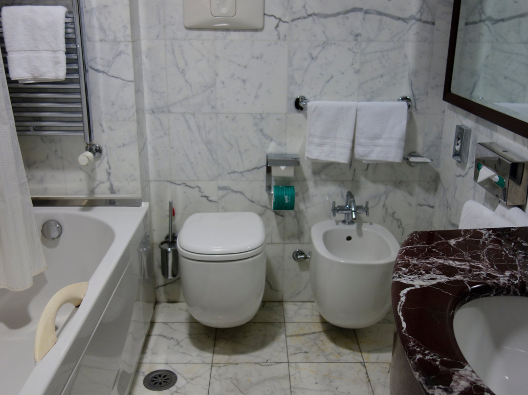 Italiana Hotels Cosenza主图