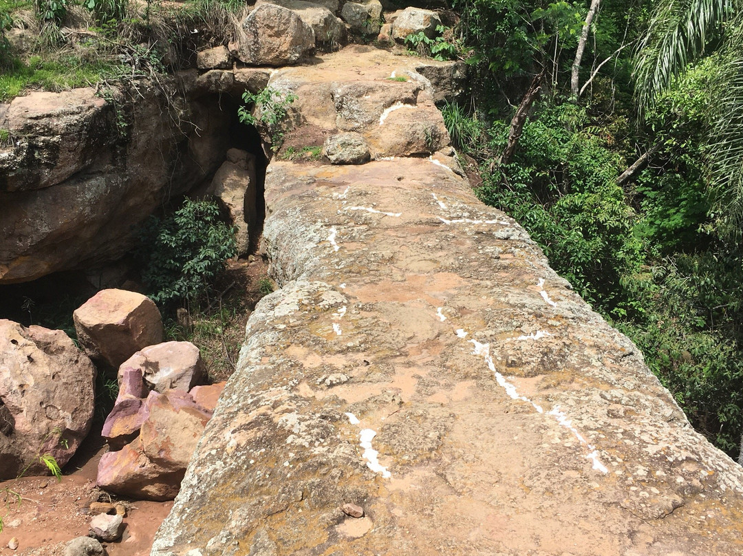 Geopark Araripe-Crato必去景点