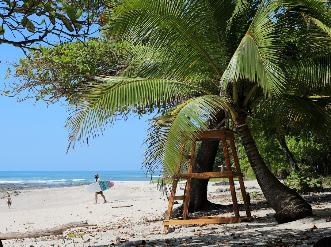 Blue Surf Sanctuary主图