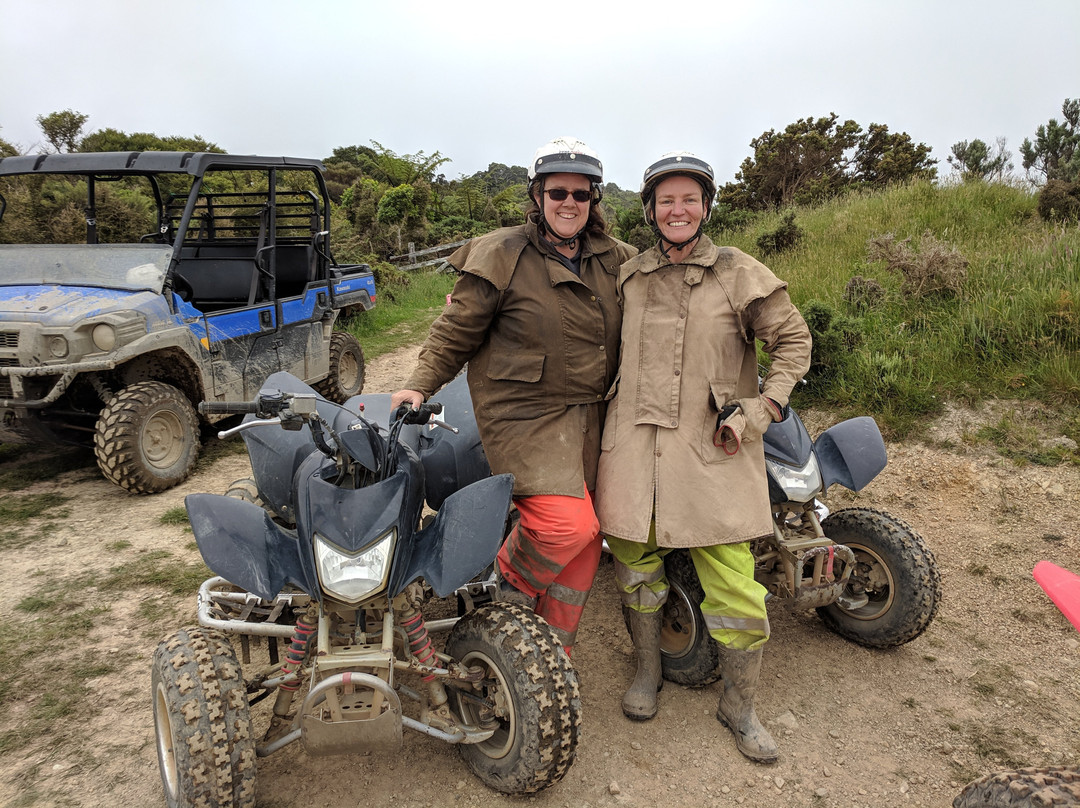 Wellington Adventures - Day Trip-惠灵顿必去景点