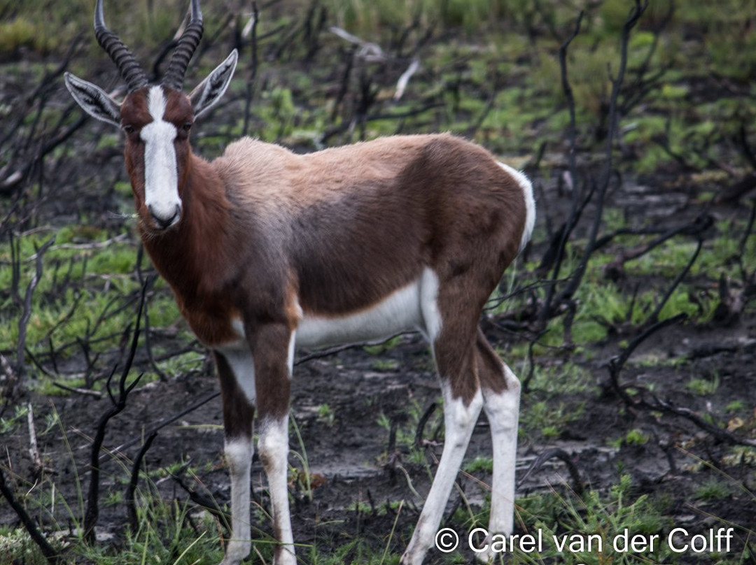 Dive Inn Diving & Touring-Plumstead必去景点