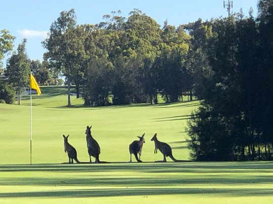 The Vintage Golf Club-Rothbury必去景点