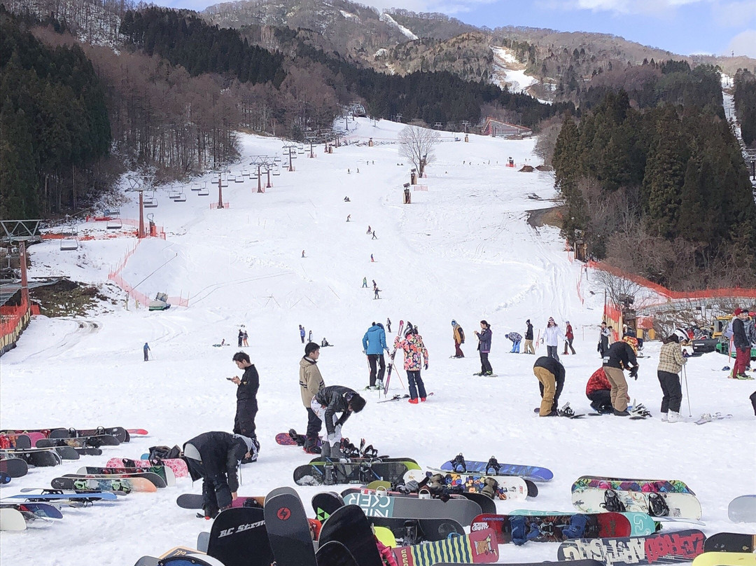 Meiho Ski Resort-郡上市必去景点