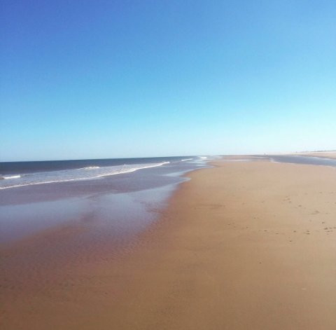 Saltfleetby - Theddlethorpe Dunes National Nature Reserve景点图片