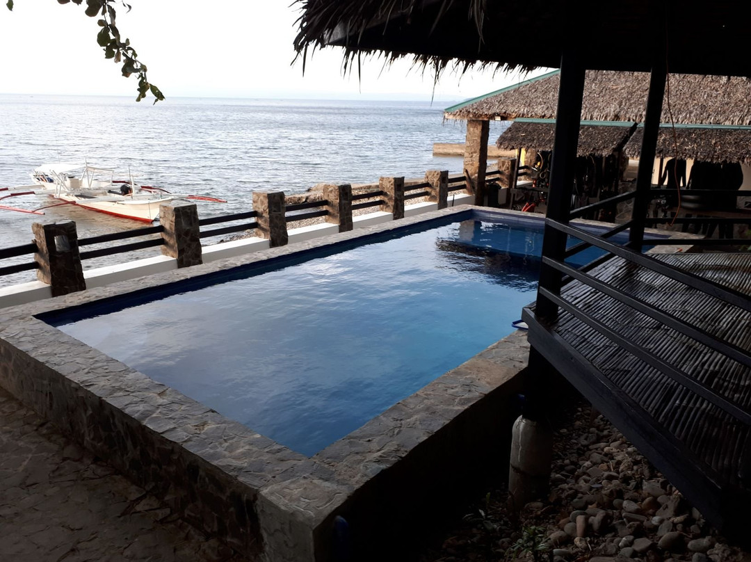 Blue Ribbon Dive Resort主图